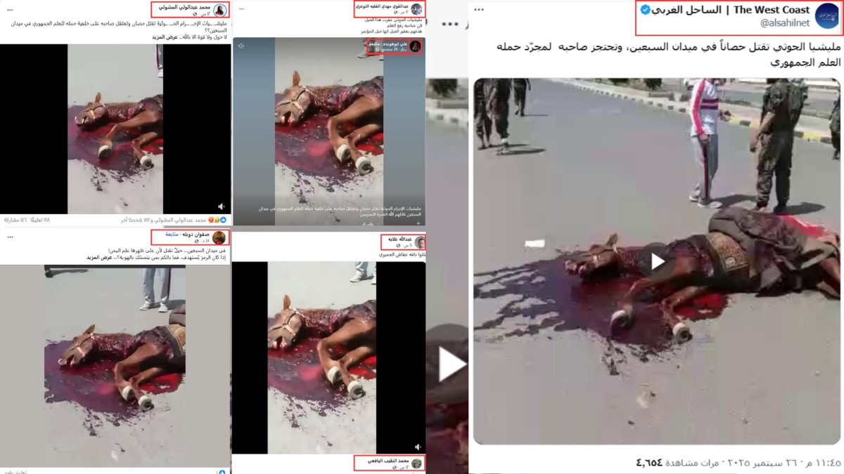 اتهامات  لجماعة الحوثيين بقتل أحد "الخيول" في العاصمة صنعاء بسبب رفع العلم اليمني ما القصة؟