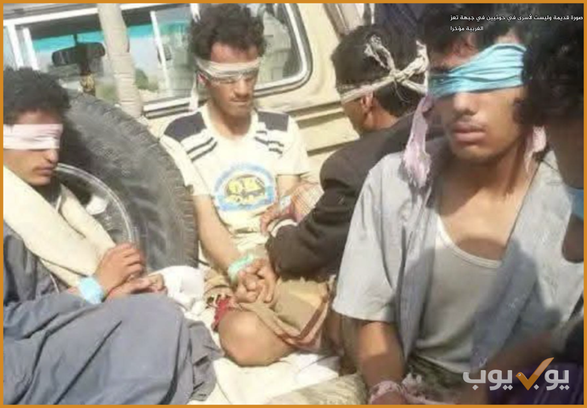 صورة قديمة وليست لأسرى  حوثيين في جبهة تعز الغربية مؤخرا