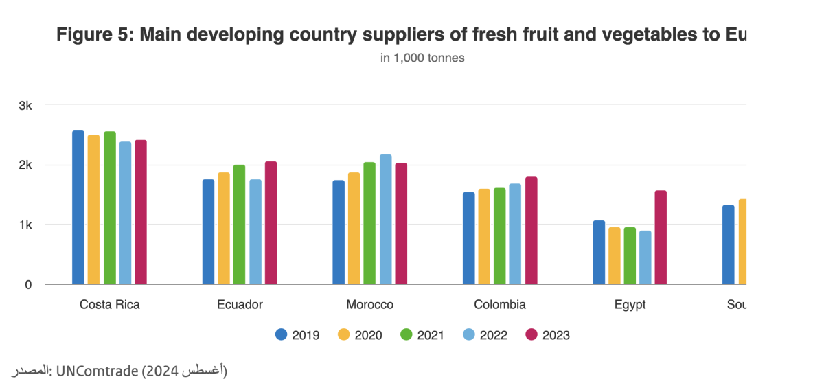 مصر ليست ثاني مصدر للفواكه والخضروات الطازجة إلى أوروبا