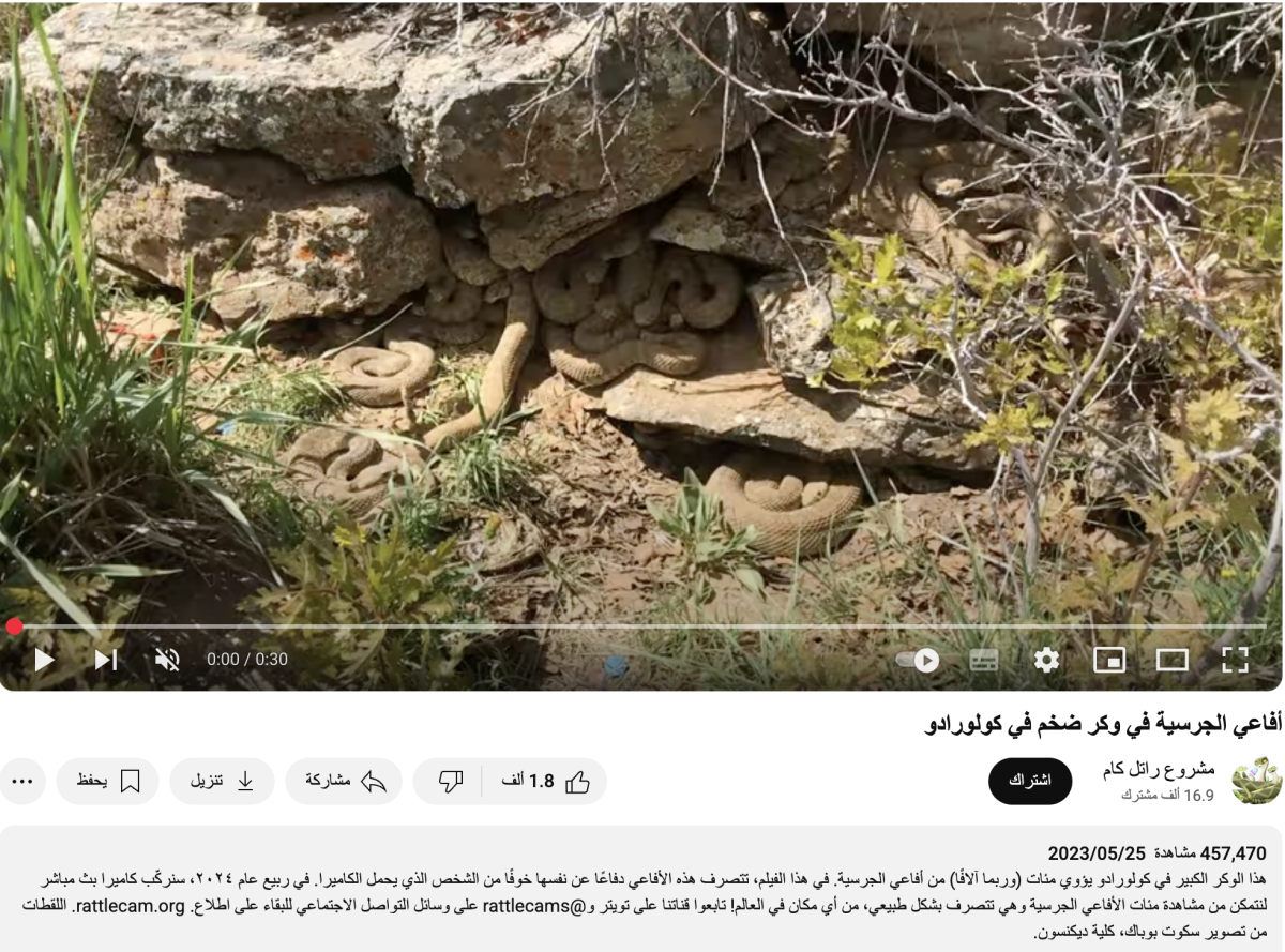 وكر الأفاعي ليس في اليمن بل في ولاية كولورادو بأمريكا وكر الأفاعي ليس في اليمن بل في ولاية كولورادو بأمريكا